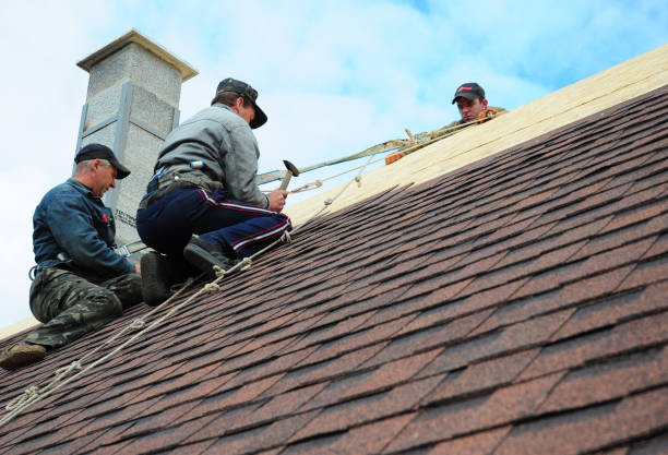 Best Roof Repair Services  in New London, WI